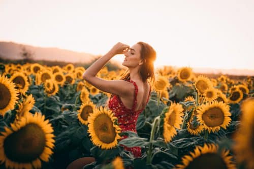 Jolie jeune femme dans un champ de tournesols