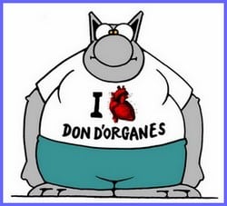 don de cellules