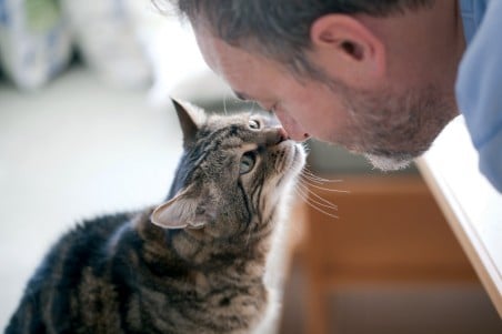 Se sentir zen grâce à la médiation animale