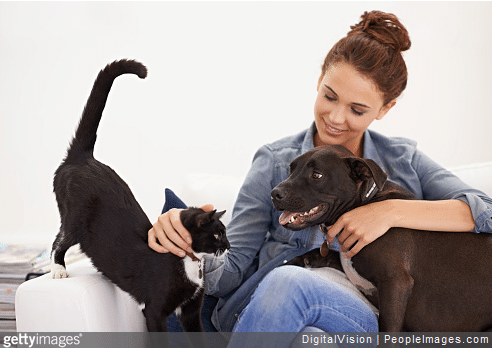 Tout savoir sur les chaleurs chez les chats et les chiens