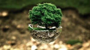 Travailler pour l’environnement